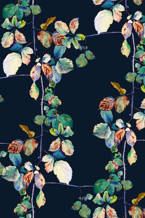 松鼠印花华亿平台图片