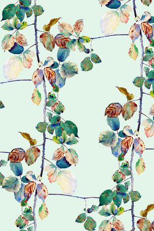 松鼠印花华亿平台图片