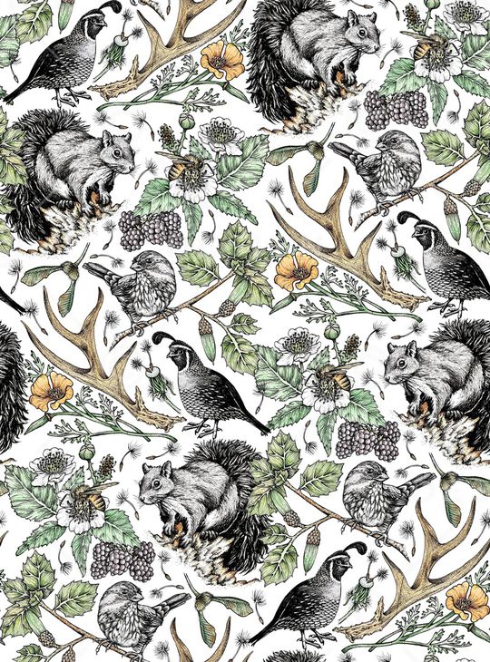 松鼠印花华亿平台图片