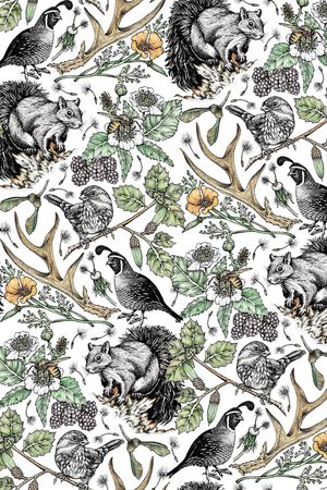 松鼠印花华亿平台图片