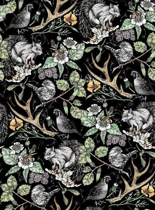 松鼠印花华亿平台图片