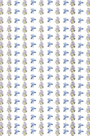 女装印花华亿平台图片