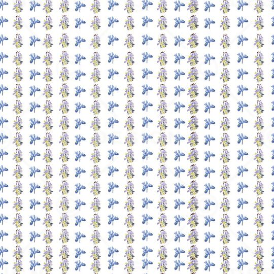 女装印花华亿平台图片