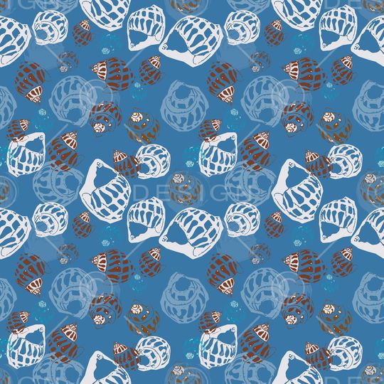 贝壳印花印花华亿平台图片