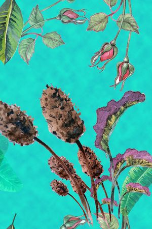 女装印花华亿平台图片