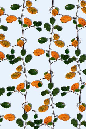 树枝印花华亿平台图片