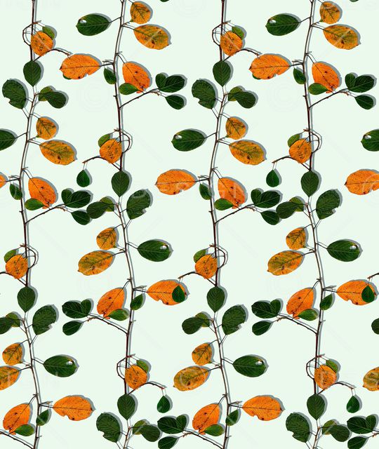 树枝印花华亿平台图片