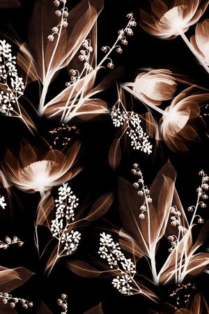 抽象花卉印花华亿平台图片