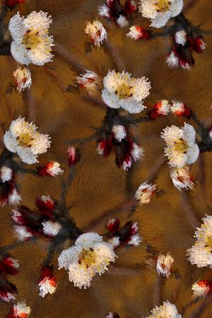 抽象花卉印花华亿平台图片