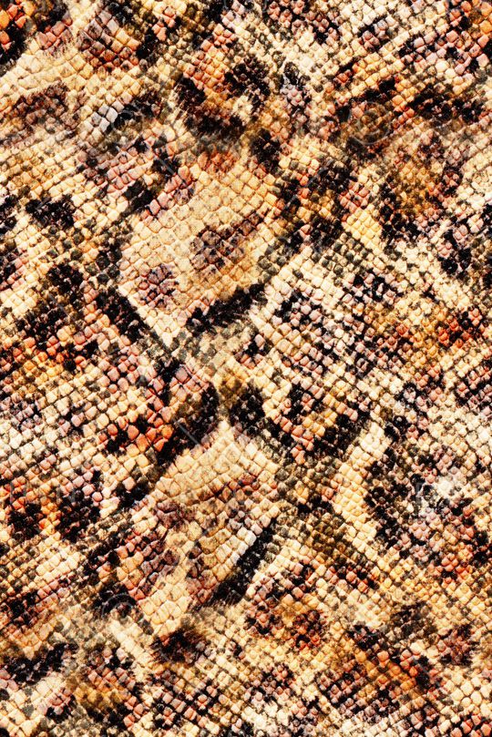 女装印花华亿平台图片