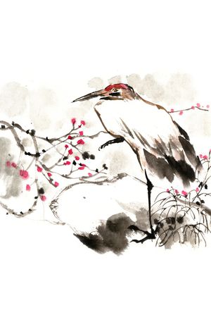 鸟印花华亿平台图片