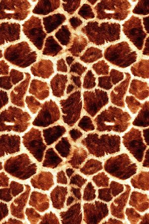 大牌风印花华亿平台图片