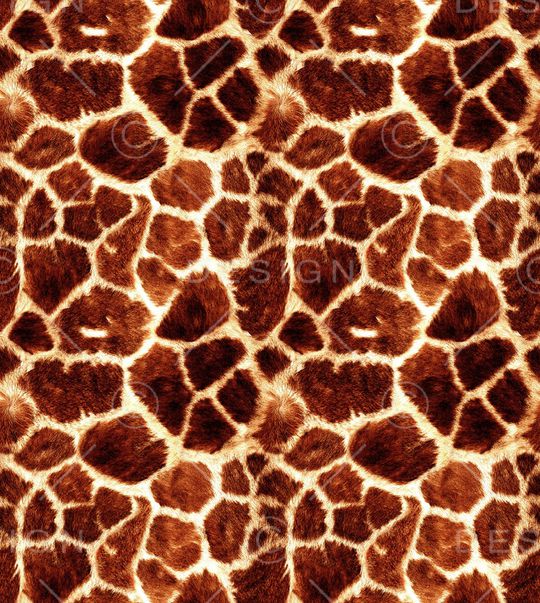 大牌风印花华亿平台图片