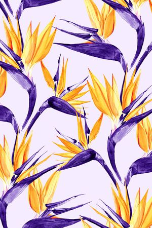 天堂鸟印花华亿平台图片