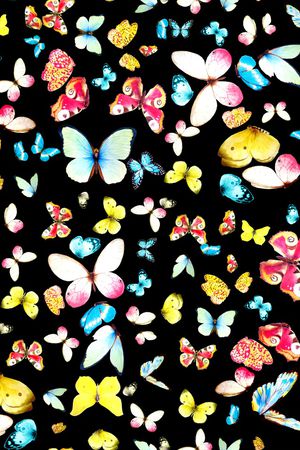 黑底花卉印花华亿平台图片