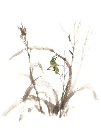 手绘印花华亿平台图片