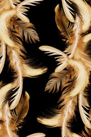 动物印花华亿平台图片