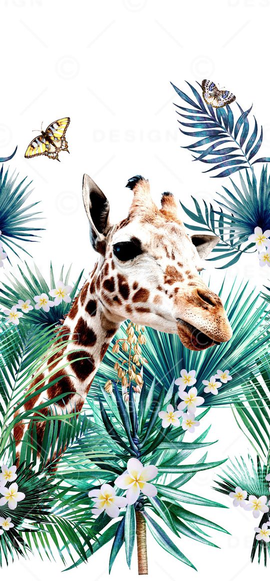 长颈鹿印花华亿平台图片