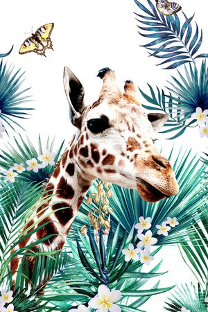 长颈鹿印花华亿平台图片