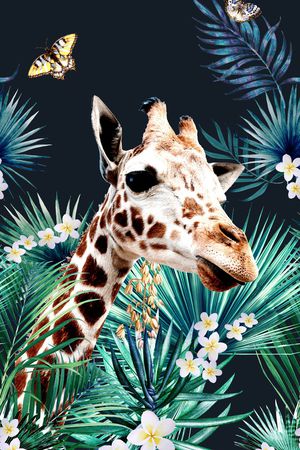 鹦鹉印花华亿平台图片