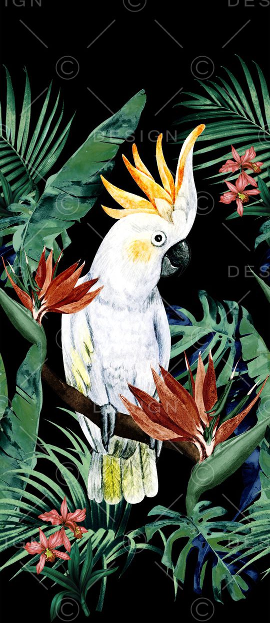 鹦鹉印花华亿平台图片