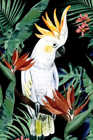 鹦鹉印花华亿平台图片