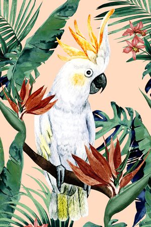 鹦鹉印花华亿平台图片