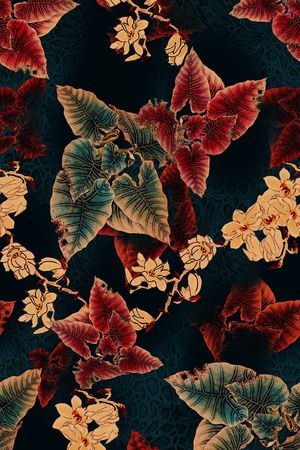 女装印花华亿平台图片