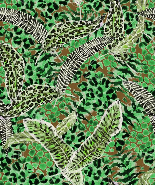 羽毛印花华亿平台图片