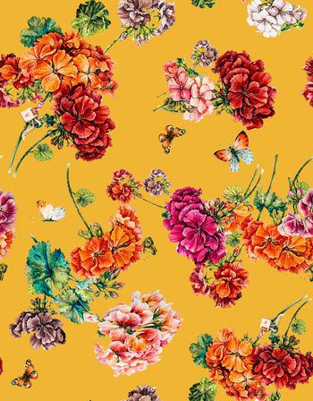 1284929-191220天竺葵回路