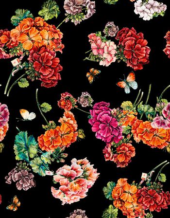 1284931-191220天竺葵回路黑色