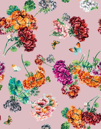 1284933-191220天竺葵回路粉红