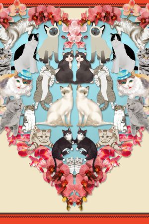 大牌风印花华亿平台图片