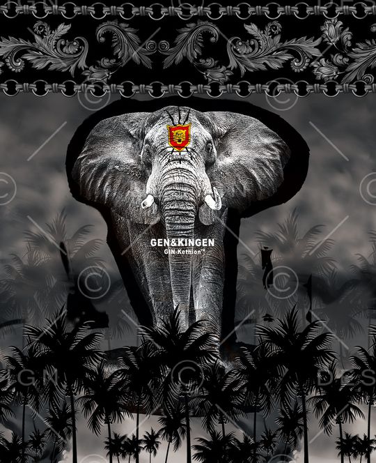 男装印花华亿平台图片