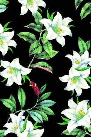 女装印花华亿平台图片