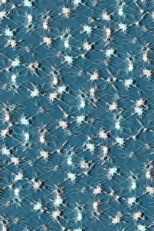 抽象男装印花华亿平台图片