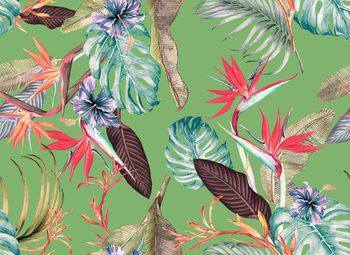 1287462-191226天堂鸟绿