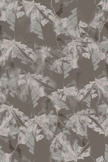 1287624-191226-syyh-4-00