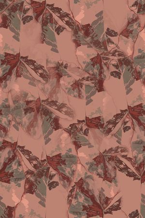 男装印花华亿平台图片