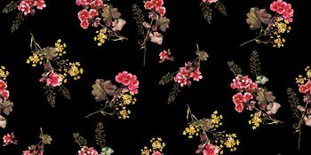 1287661-191230天竺葵黑色