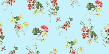 1287662-191230天竺葵蓝色