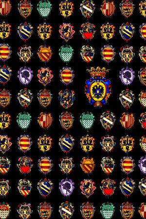 黑底花卉印花华亿平台图片