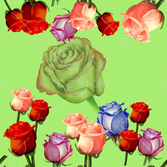 玫瑰花印花华亿平台图片