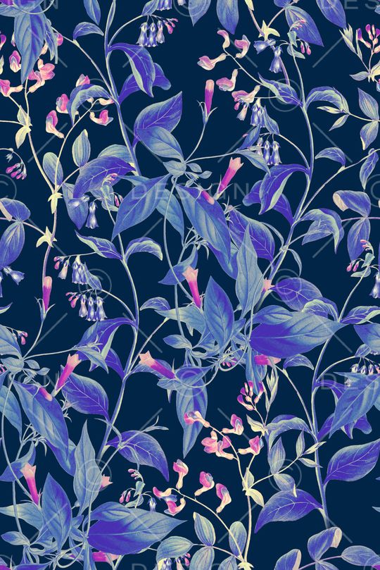 黑底花卉印花华亿平台图片