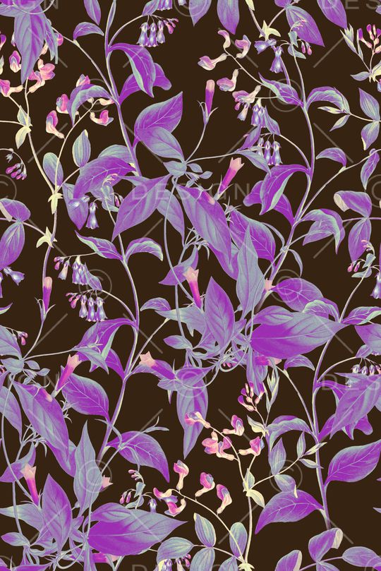 黑底花卉印花华亿平台图片