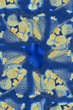 仙人掌印花华亿平台图片