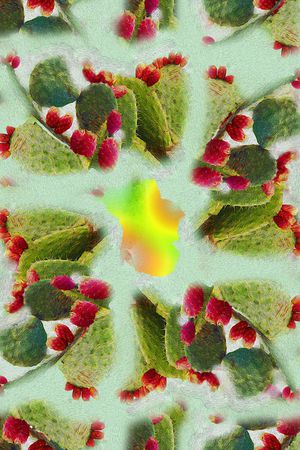 仙人掌印花华亿平台图片