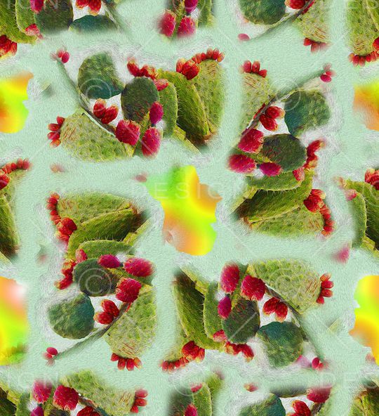 仙人掌印花华亿平台图片