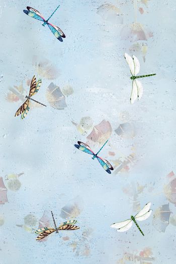 大牌风印花华亿平台图片