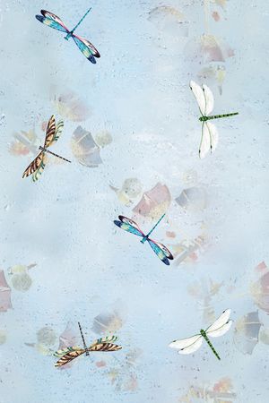 大牌风印花华亿平台图片